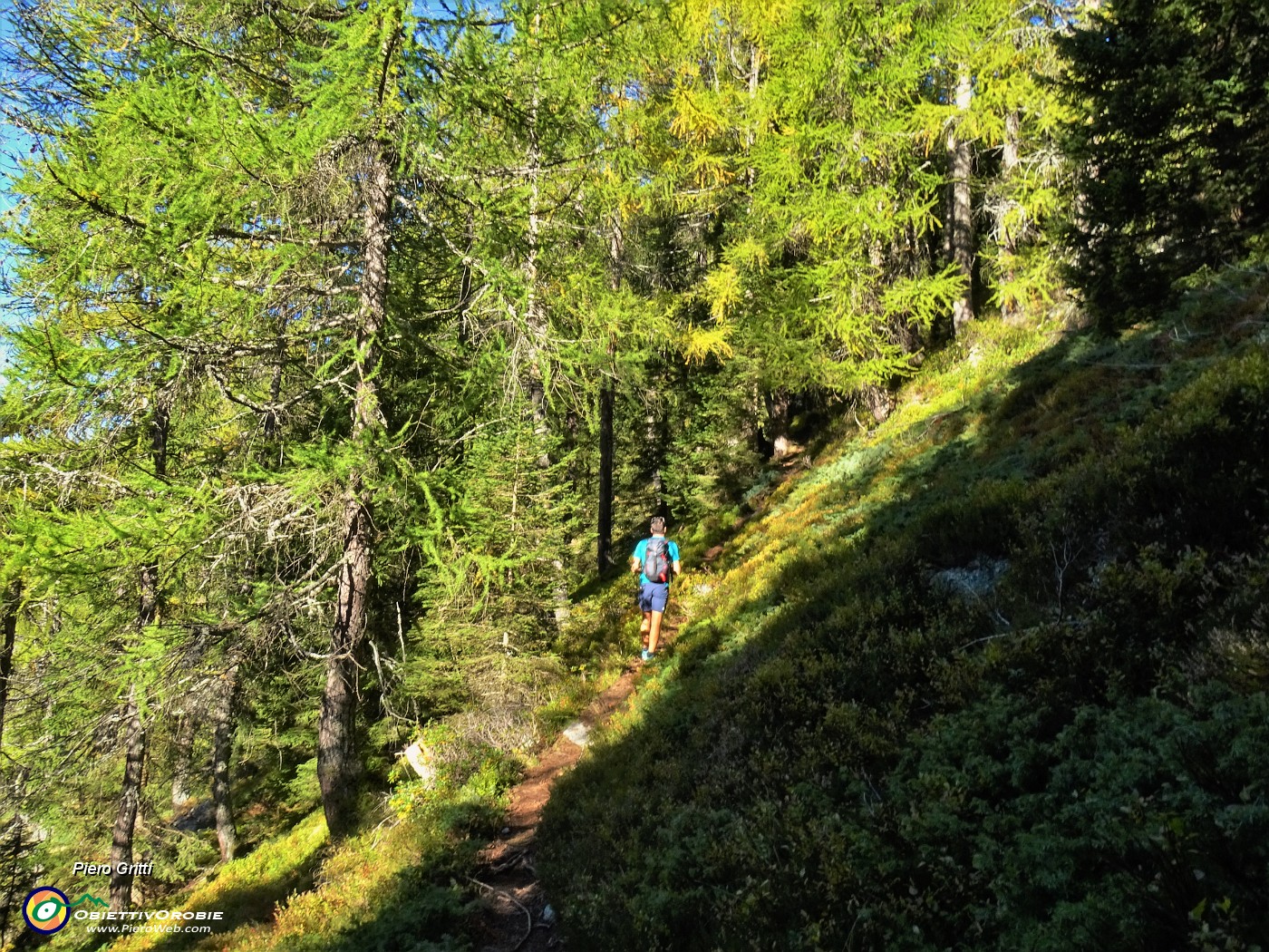 18  Sul bel sent. 202 panoramico per il Passo di Dordona.JPG